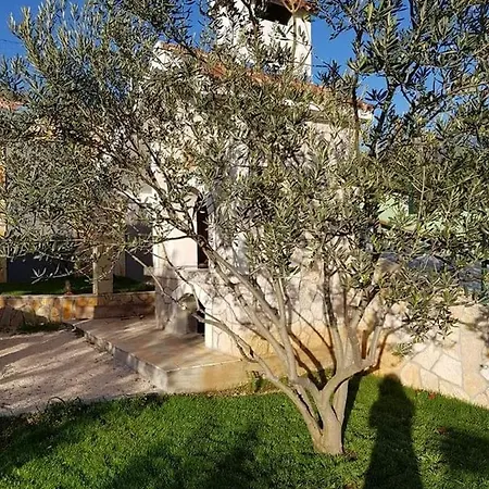 House Fun&relax Ferienhaus *